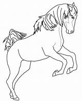 Caballo Caballos Arabian Rearing Kleurplaten Kleurplaat Paarden Cavallo Steigeren Gratistodo Cavalli Saltando Supercoloring Uitprinten Arabo Zampe Paard Steigerend Downloaden sketch template
