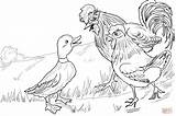 Coloring Pages Ducky Lucky Panic Spreads Printable Drawing sketch template
