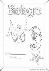 Deckblatt Biologie Selbst Ausmalen Zum Schule Schulbeginn Kostenlose sketch template