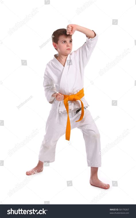 boy practice karate isolated  stock photo