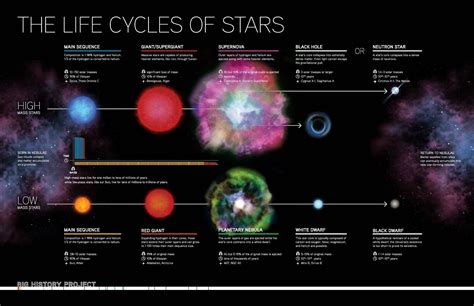 incredible life  stars daily infographic