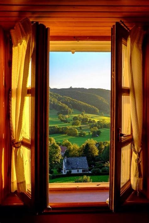 window images  pinterest windows window