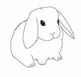 Bunny Lop Eared Lineart Bunnies Coloringhome Rabbits Animal Azcoloring sketch template