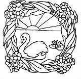 Cigni Coloriage Cygne Cisne Cisnes Colorat Lebada Vitrales Cygnes Colorare Imagini Pintar Lebede Coloriages Desene Swan Disegno Plantillas Animaux Fise sketch template