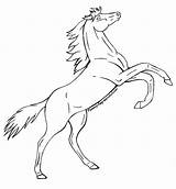 Pages Horse Coloring Rearing Realistic sketch template
