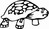 Coloring Tortoise Turtle Wait Wecoloringpage sketch template