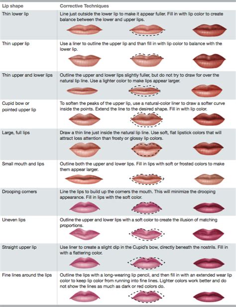 miladypro types of lips shape lip shapes corrective makeup