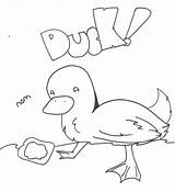 Duck Coloring Pages Printable Kids sketch template