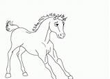Spirit Coloring Pages Stallion Cimarron Riding Drawing Horse Foal Rain Printable Sheets Colorings Lineart Fancy Getdrawings Bambi Library Popular Clipart sketch template