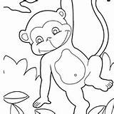 Monkey Swinging Coloring Surfnetkids sketch template
