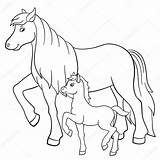 Paarden Veulens Paard Tekenen Tekeningen Downloaden Uitprinten Dieren sketch template