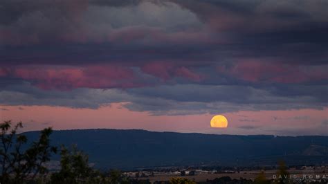 pink moon rise
