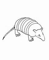 Armadillo Coloring Printable Color Pages Animals Animal Designlooter Animalstown Town Sheet 15kb 440px Choose Board sketch template