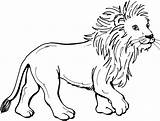 Lion Coloring Cute Pages Getcolorings Color Printable sketch template