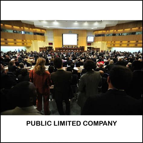 public limited company standard package mindsync