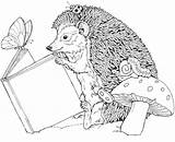 Riccio Animal Hedgehogs Tana Terreno sketch template