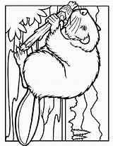 Beaver Coloring Pages Lodge Color Print Coloringbay Coloring2print sketch template