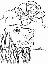 Kleurplaat Honden Kleurplaten Coloring Voor Dieren Kids Dog Pages Huisdieren Dogs Adult sketch template