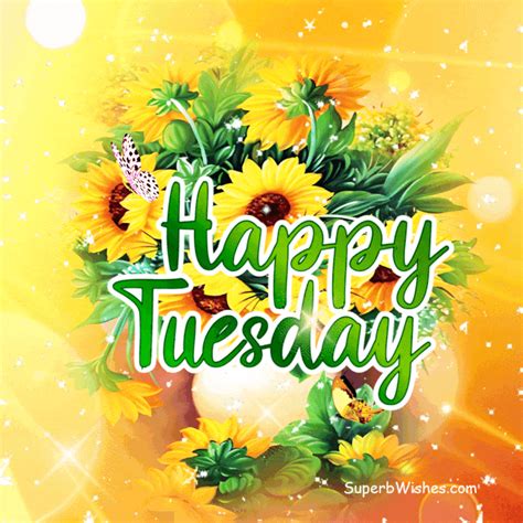 happy tuesday  gifs stay positive superbwishescom
