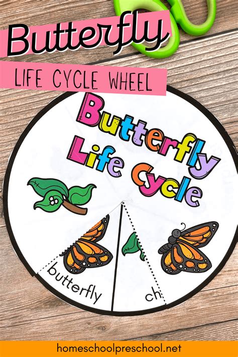 printable butterfly life cycle wheel    tool