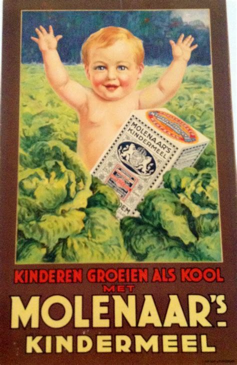 molenaars kindermeel oude reclame oude advertenties vintage reclame