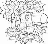 Toucan Reposant Drôle Générale Oiseaux Adultes sketch template