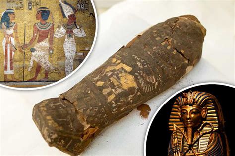 mystery solved ancient egyptian coffin opened what s