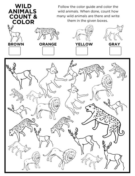printable wild animals  spy count  color activity page