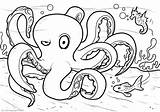 Squid Coloring Books Pages Categories Similar sketch template