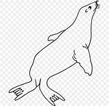 Seal sketch template