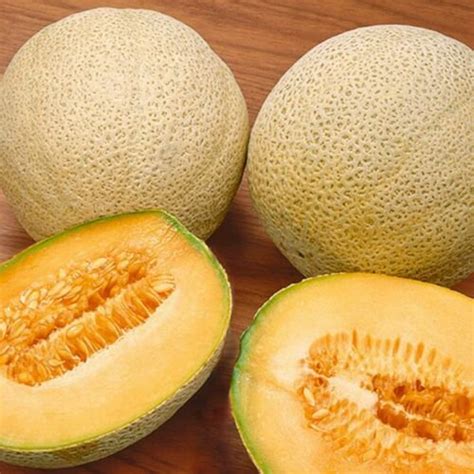 Kolokolo Store Honey Rock Melon Seeds Cantaloupe Sugar