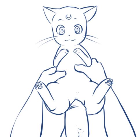 rule 34 animated aogami bishoujo senshi sailor moon feline female