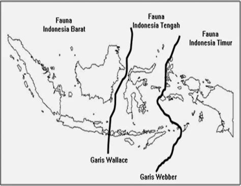 persebaran flora  fauna  indonesia katalog geografi