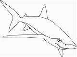 Shark Coloring Blue Template Templates Colouring Pages Drawings Tubarao Pintar Sharks Great Kids Simple Drawing Animal Draw Desenho Color Tiger sketch template