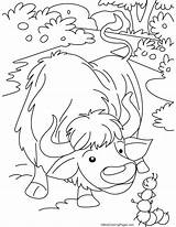 Yak Ant Coloring sketch template