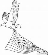 Eagle Coloring4free Coloring Pages Printable Small Related Posts sketch template