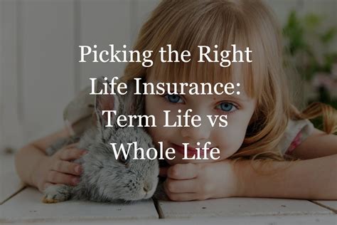term life   life insurance   choose   policy