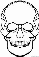 Coloring4free Skull Coloring Printable Pages sketch template