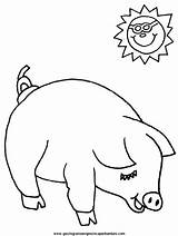Cerditos Maiale Cerdo Cerdos Cerdito Pig3 Animali Porcos Piggy Coloringpagebook sketch template