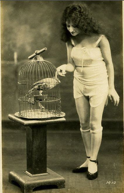 Postcards Vintage And Birds On Pinterest