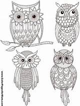 Coloring Pages Adults Owl Children Owls Mandala Colouring Malebøger Eule Skabelon Adult для Kaninchen Ausmalen Drawings Choose Board Eulen Printable sketch template
