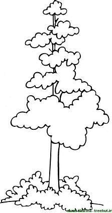 trees coloring pages set  tree coloring page coloring pages color