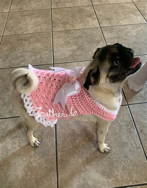crochet dog dress  pattern  easy  follow  etsy