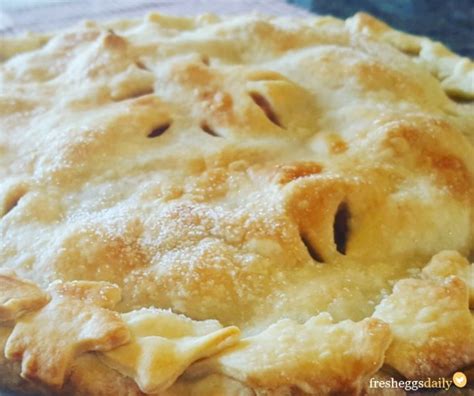 Traditional New England Apple Pie Fresh Eggs Daily®
