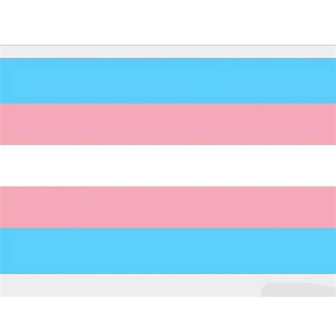 3x5ft Rainbow Transgender Pride Flag Gay Lesbian Lgbt 90 145cm