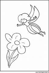 Elfe Blume Malvorlage Elfen Feen Datei sketch template