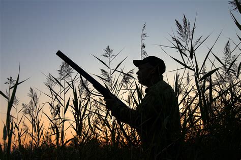 hunters lawsuit stirs landowner liability concern   hampshire