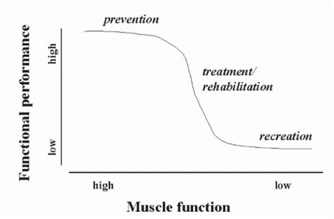 assessment of human muscle function musculoskeletal key