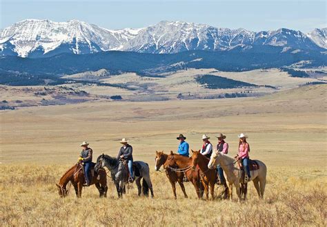 nature conservancy completes deal  calgary area ranch  protect prairie canadas national