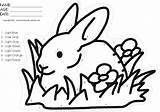 Rabbit Grass Coloring Cartoon Color Pages Numbers Cliparts Clipart Activity Fun Library Clip Comments Coloringhome Favorites Add sketch template